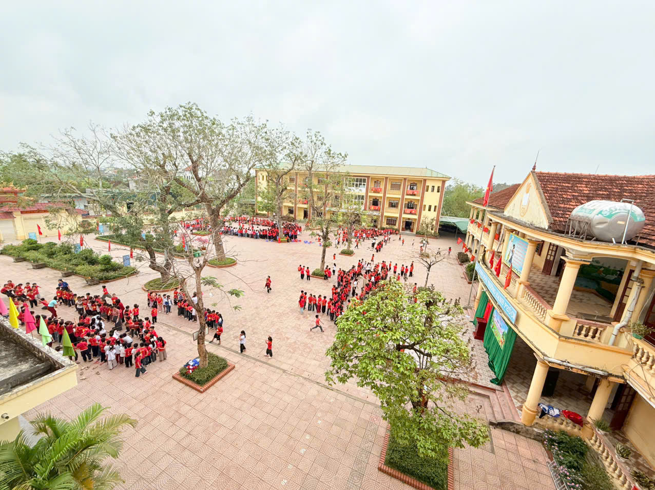 nền1